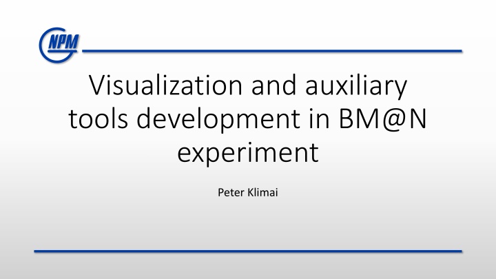 Visualization and Auxiliary Tools Development in BM@N Experiment