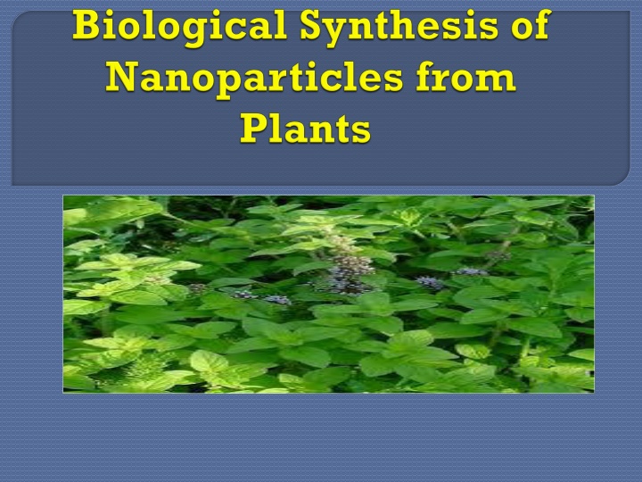 Innovative Approaches to Nanoparticle Synthesis
