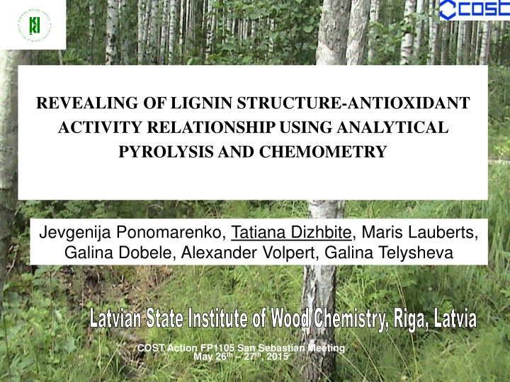 Revealing Lignin Structure-Antioxidant Relationship Using Analytical Pyrolysis