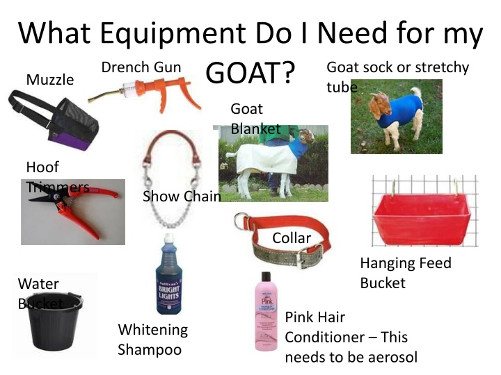 Goat, Lamb, and Pig Care Essentials