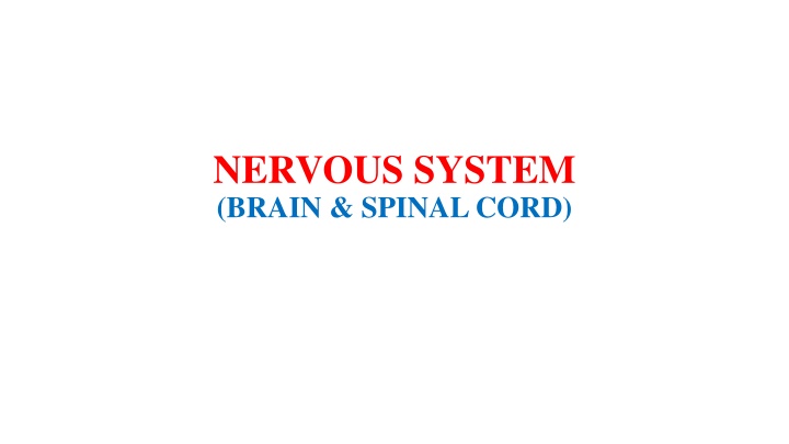 NERVOUS SYSTEM