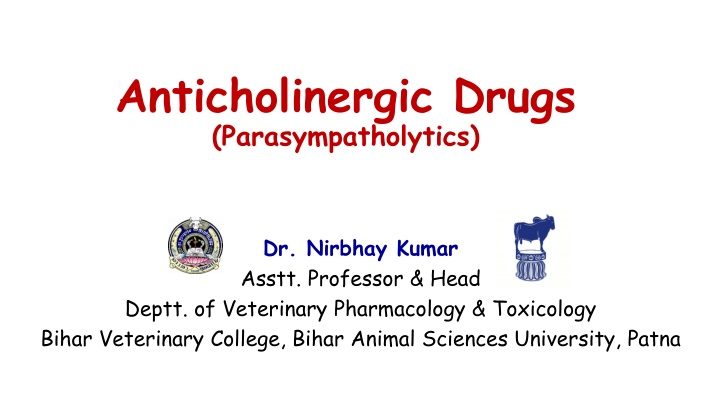 Anticholinergic Drugs
