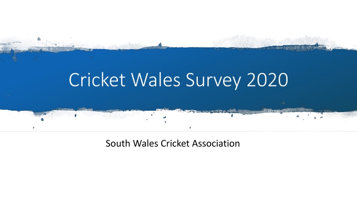 Cricket Wales Survey 2020