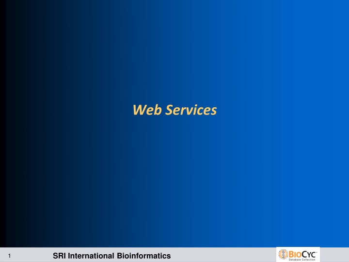 Overview of Web Services in Bioinformatics