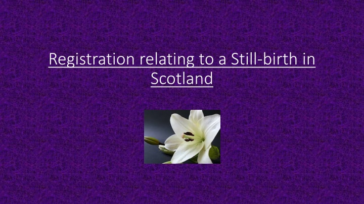 Still-birth Registration in Scotland