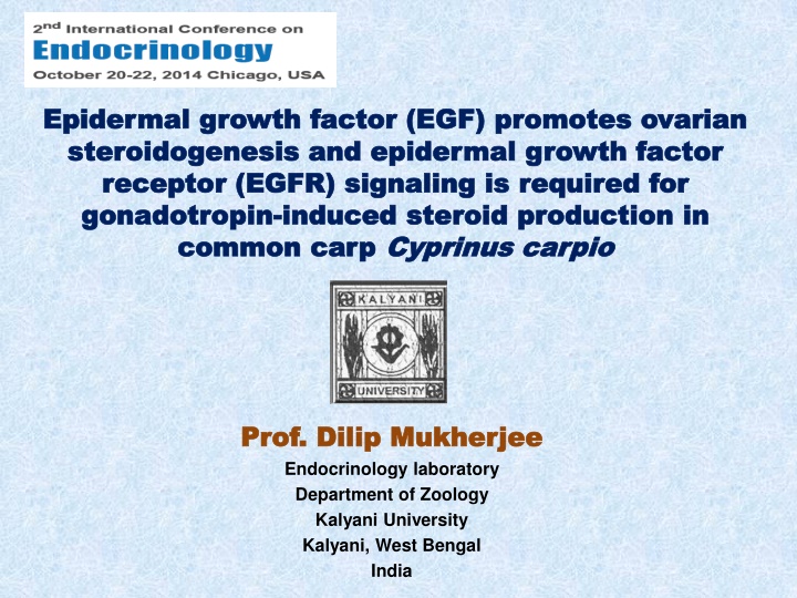 Epidermal Growth Factor in Ovarian Steroidogenesis