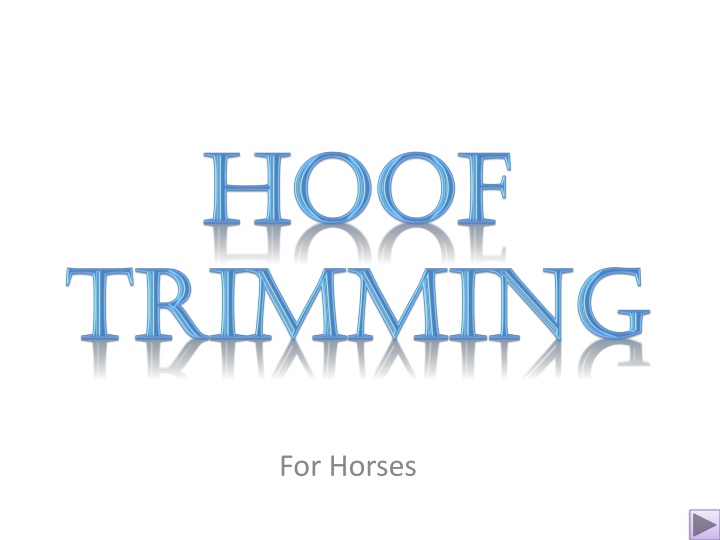 Hoof Maintenance Tutorial for Healthy Horses