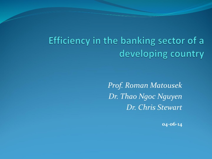 Analysis of Vietnamese Banking System Efficiency