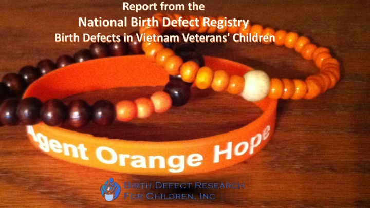 Birth Defects in Vietnam Veterans' Children - Report Findings