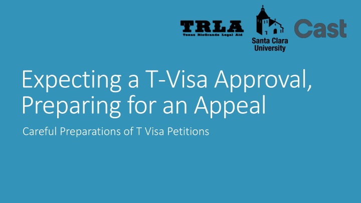 Preparing for T-Visa Approval and Petition Appeal