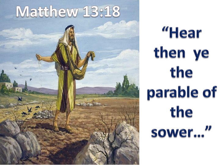 Parable of the Sower - The Seed of the Kingdom
