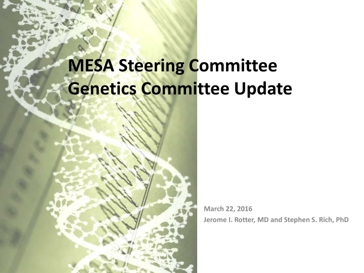 MESA Steering Committee