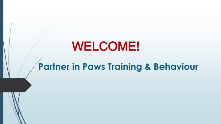 Best Reactive dog training in Hidden Valley