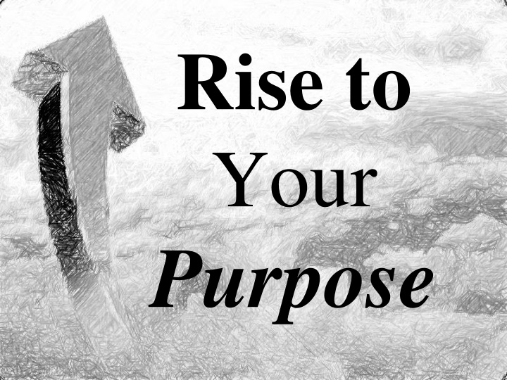 Discover Your Purpose and Fulfillment