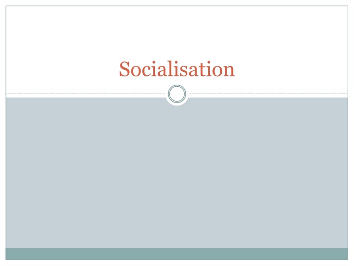 Socialisation