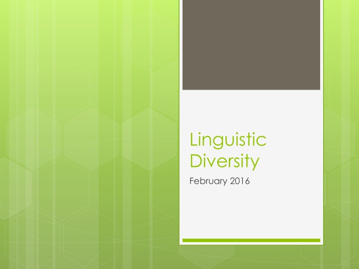 Linguistic Diversity & Language Rights