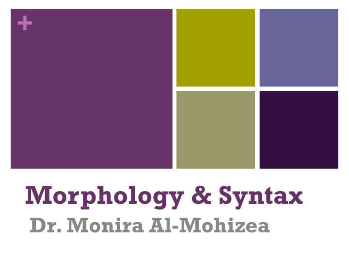 Syntax and Word Classes