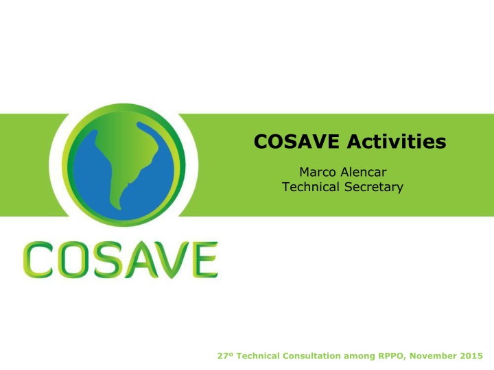 Technical Group Issues in COSAVE