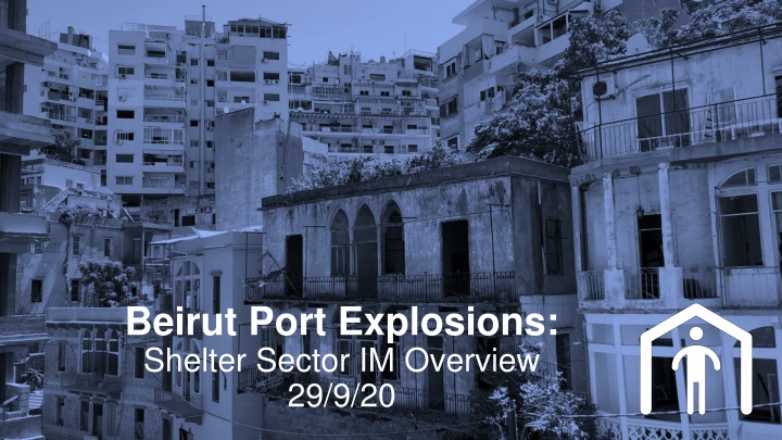 Overview of Beirut Port Explosions Shelter Sector