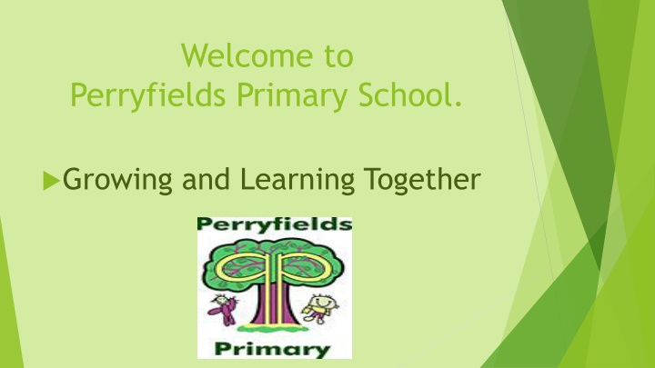 Perryfields Primary School Mission and Values