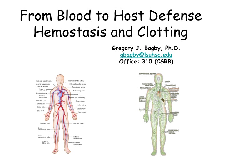 Hemostasis and Clotting: Prevention of Blood Loss