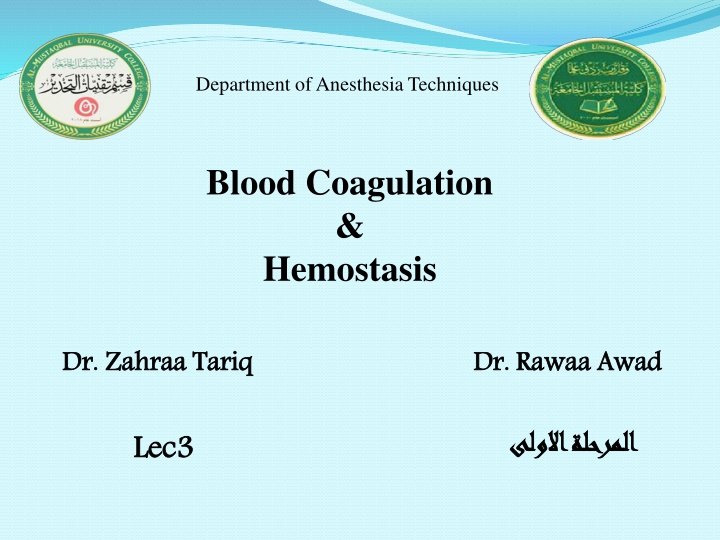 Hemostasis Process Explained - Vascular Spasms to Blood Clot Formation