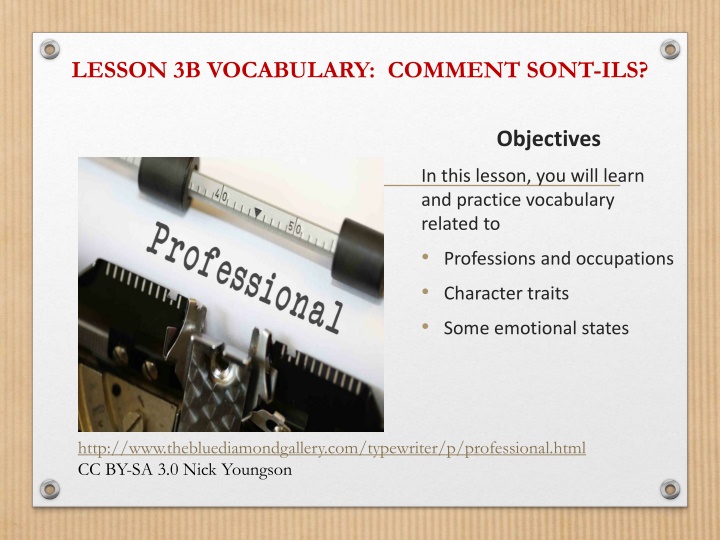LESSON 3B VOCABULARY:  COMMENT SONT-ILS?
