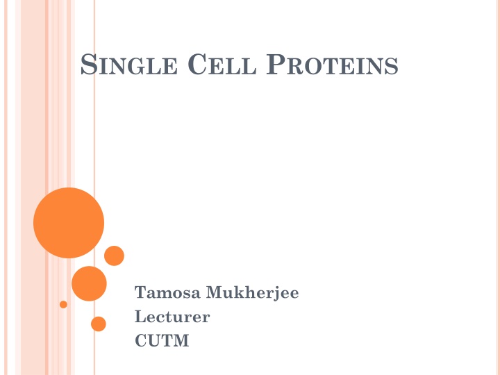 SINGLE CELL PROTEINS