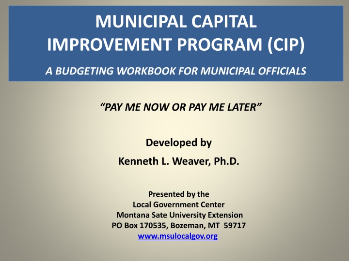 MUNICIPAL CAPITAL IMPROVEMENT PROGRAM (CIP)