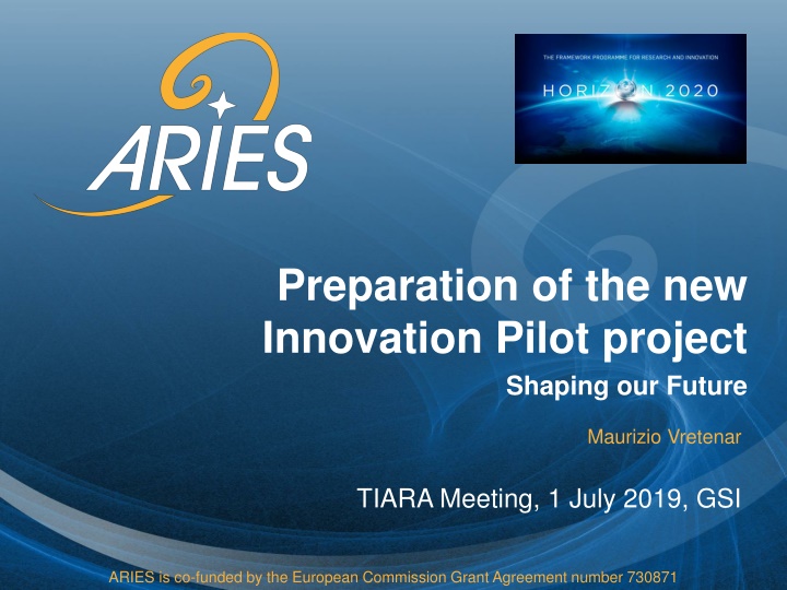 Innovation Pilot for RI Network Technological Developments