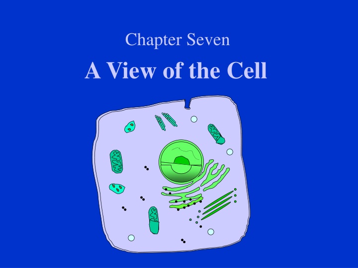 A View of the Cell - Cellular Organization and History