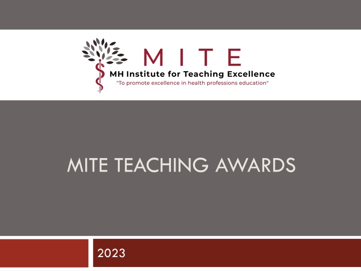 MITE TEACHING AWARDS