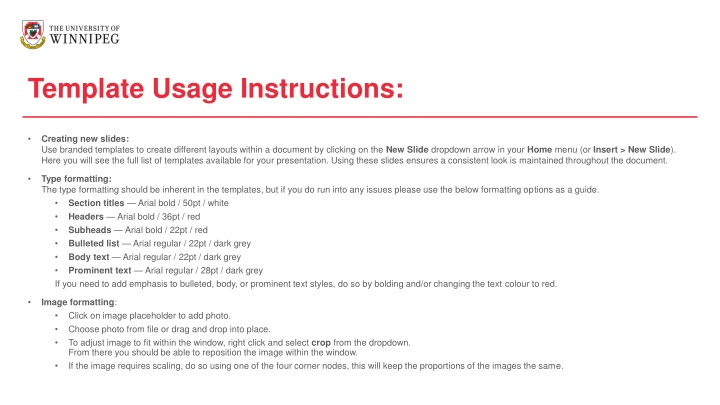 Creating Engaging Slides with Templates