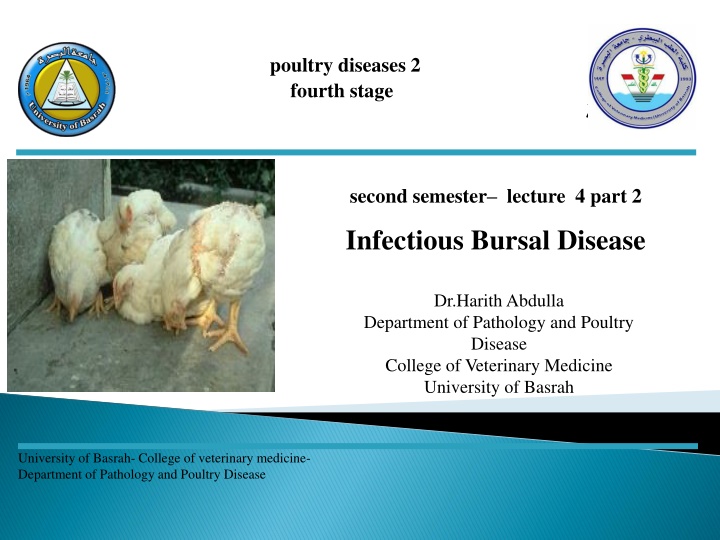 Infectious Bursal Disease