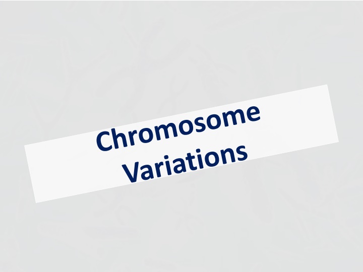 Alterations in Chromosome Number: Euploid, Polyploid, Aneuploid