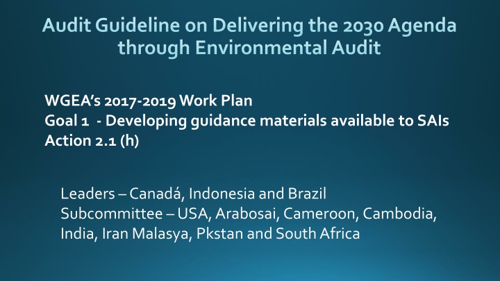 Guidelines for Delivering the 2030 Agenda Through Environmental Audit