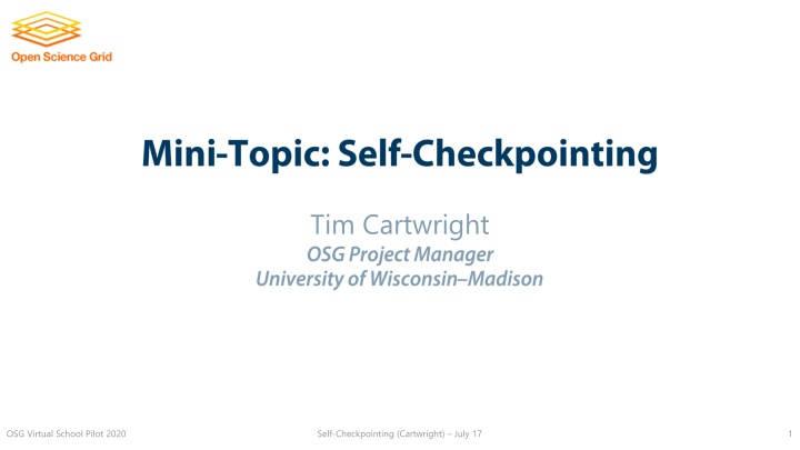 Tim Cartwright OSG Virtual School Pilot - Self-Checkpointing July 17
