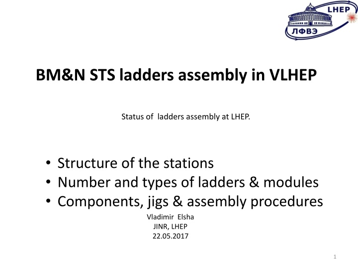 BM&N.STS Ladders Assembly at VLHEP: Structure, Components, Procedures