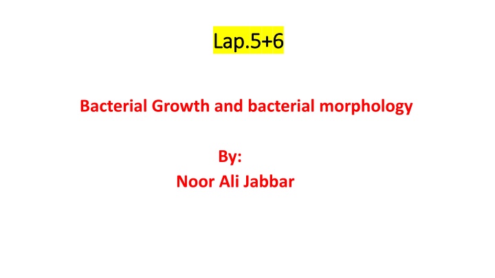 Bacterial Growth and Morphology Overview