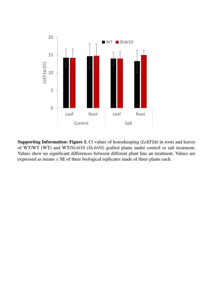 Na+ Homeostasis and Salt Stress Response in Grafted Tomato Plants