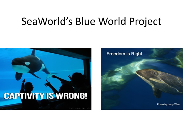 SeaWorld’s Blue World Project