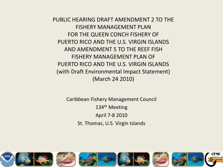Public Hearing Draft Amendment 2 to the Fishery Management Plan for the Queen Conch Fishery of Puerto Rico and the U.S. Virgin Islands