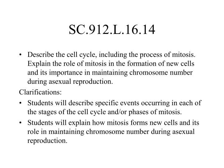 Cell Cycle and Mitosis