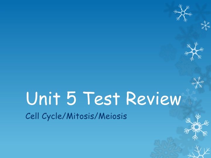 Cell Cycle Mitosis Meiosis: Test Review Overview
