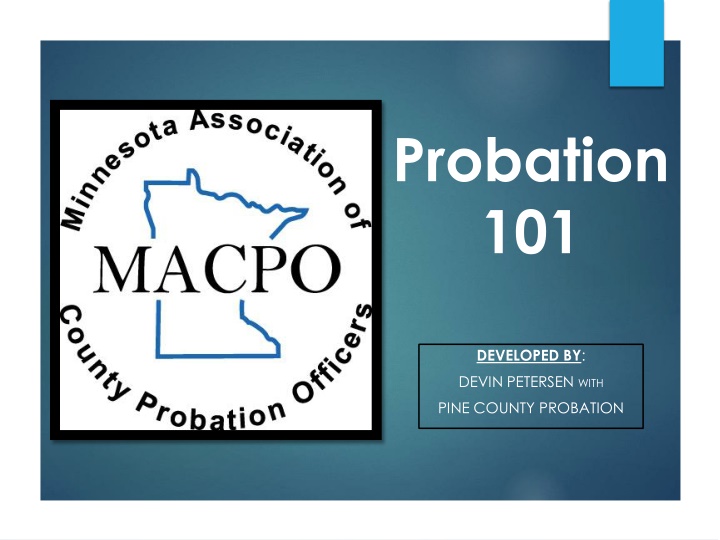 Community Supervision and Probation Agents