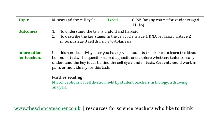 Key Stages in Cell Cycle: Mitosis & More