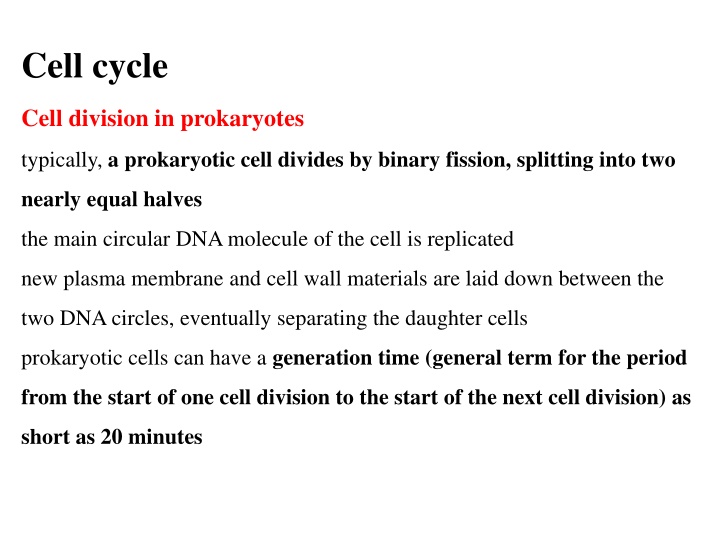 Cell cycle