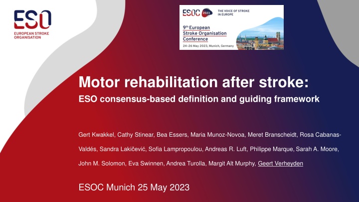 Consensus-Based Definition of Motor Rehabilitation after Stroke