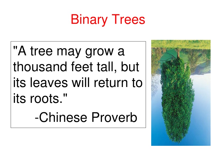 Binary Trees: Concepts and Properties