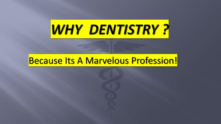 Exciting Journey to Dental School
